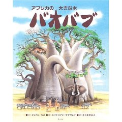 アフリカの大きな木バオバブ